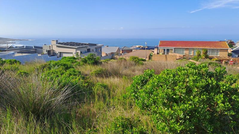 0 Bedroom Property for Sale in Jongensfontein Western Cape